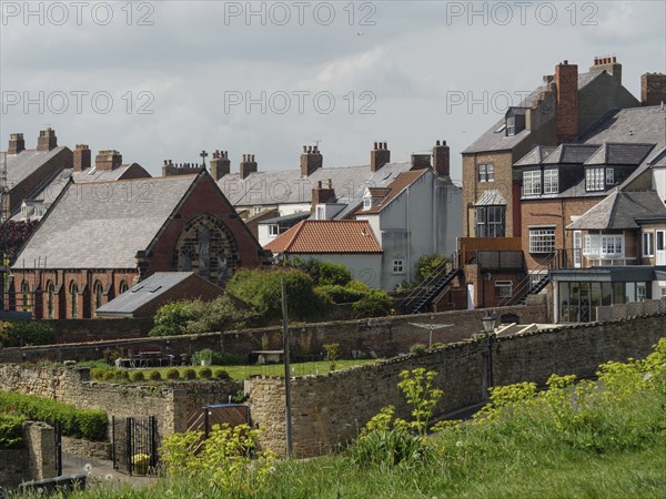 Several historic brick houses with private gardens in an urban setting on a slightly cloudy day,