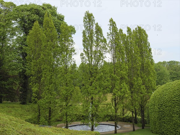 A well-kept garden with tall trees and a small pond, Newcastle, England, United Kingdom, Europe