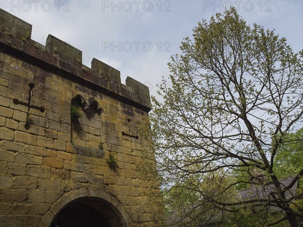 An old castle wall with towers and a tree in the foreground, Newcastle, England, Great Britain