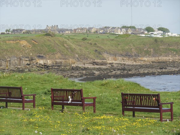 Park benches with views of the coast, green hills and distant houses, Newcastle, England, United