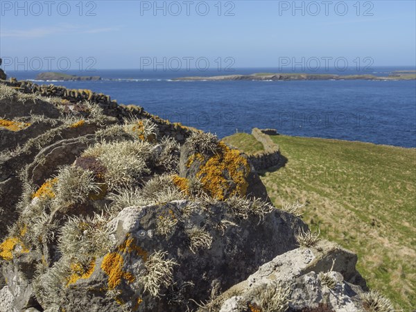 Mossy cliffs on the coast, with sweeping views of the sea and distant islands under a blue sky,