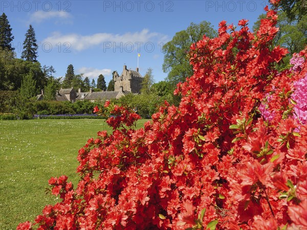 Blooming garden with red flowers, in the background the stone castle on a green meadow under a blue