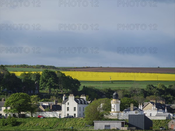 View of a picturesque village with white houses and yellow rape fields in the background, under a