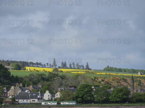 A small village with houses surrounded by green fields and yellow flowers, in the background a