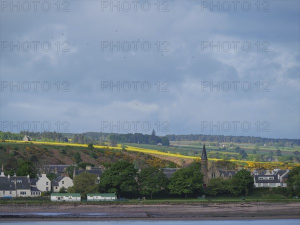 A quiet village by the sea with houses and trees, a church and a cloudy sky in the distance,