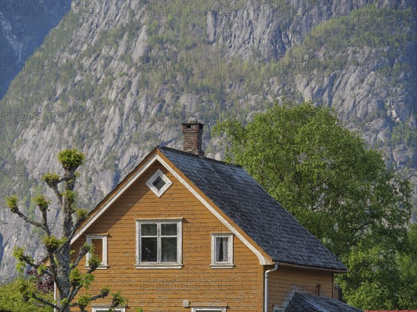 Wooden house in front of steep rock faces and green landscape under a clear sky, Eidfjord NOR 3