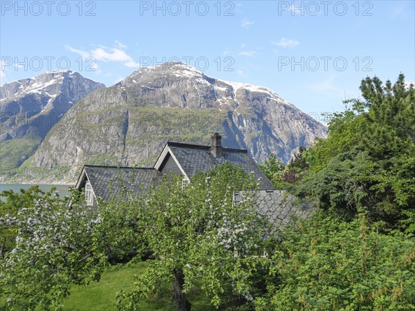 Houses in a quiet neighbourhood, surrounded by green trees, with impressive mountains in the