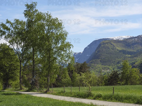A picturesque path leads through a green meadow, flanked by tall trees and mountains in the