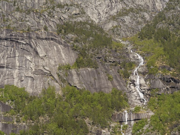 A high waterfall cascades down between steep rocks and wooded cliffs, Eidfjörd, Norway, Europe