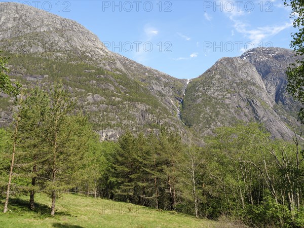 A mountainous landscape with dense forests and clear blue sky in the background, Eidfjörd, Norway,