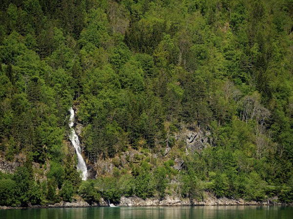 Small waterfall in a dense, green forest area with rocky elements, eidfjord, norway