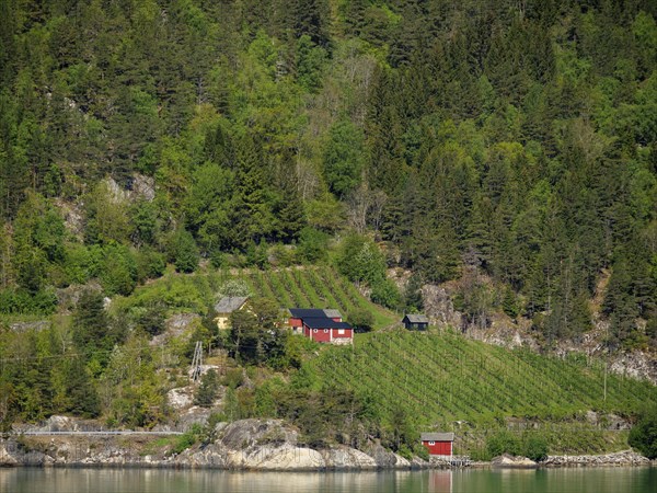 Eidfjord, Norway, Europe