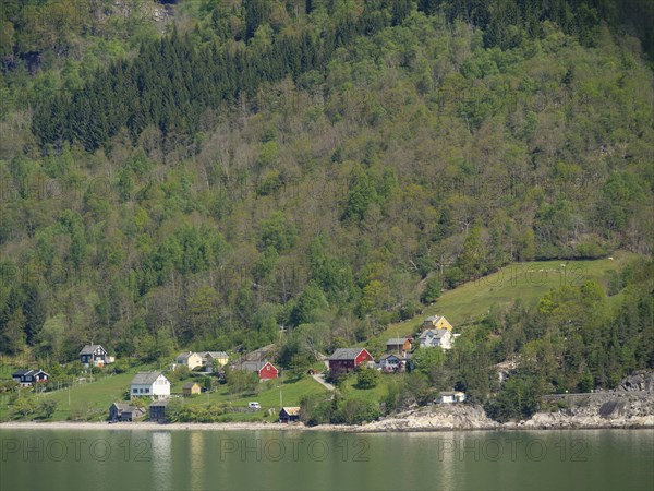 View of country houses at the edge of a forest, reflected in the still water of a lake, Eidfjord,