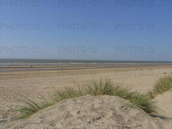 Extensive beach with dunes in the foreground, sea in the background and clear blue sky, de haan,