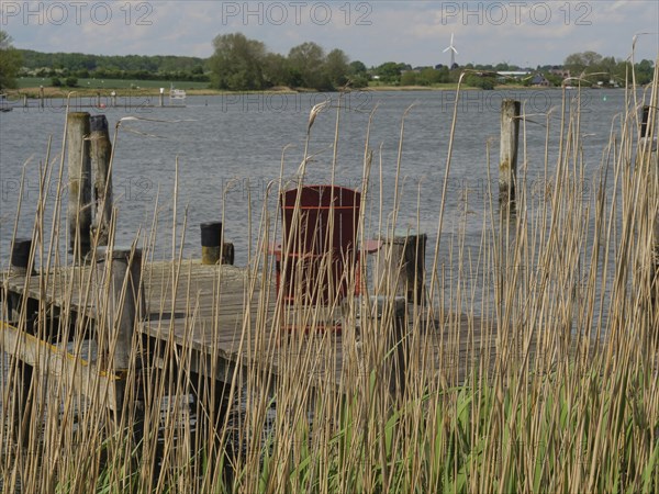 View through reeds to a lake with an old wooden jetty and wind turbines in the distance, Arnis,