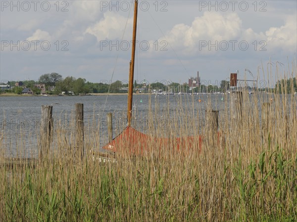 View through reed grass to a lake with boat, poles and cloudy sky, Arnis, Schleswig-Holstein,