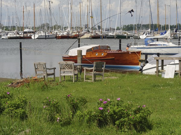 Small harbour with several boats and a green, flowering lawn in the foreground, Arnis,