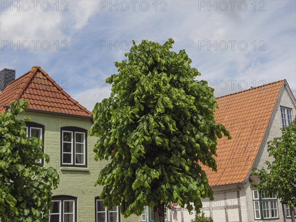 Houses with red tiled roofs and green trees under a cloudy sky, Kappeln, Schleswig-Holstein,