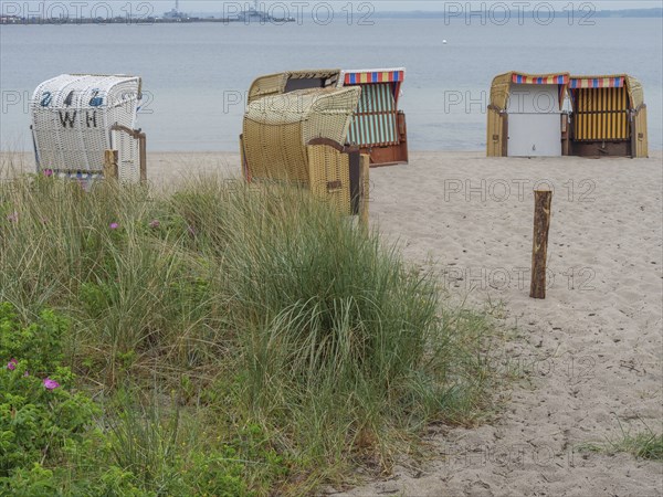 Some beach chairs on an empty beach with a view of the calm sea and tufts of grass in the