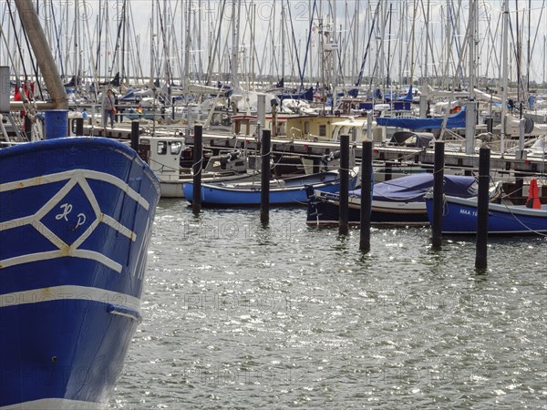 Boats in the harbour with many visible masts and water reflections, Maasholm, Schleswig-Holstein,
