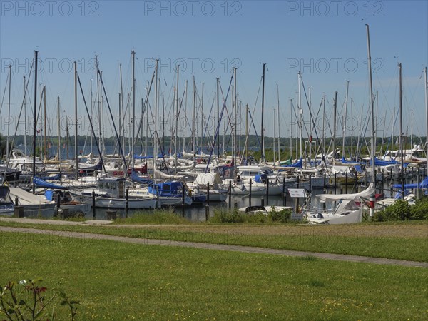 A fully occupied boat harbour with many sailing boats and an adjacent green area, Flensburg,
