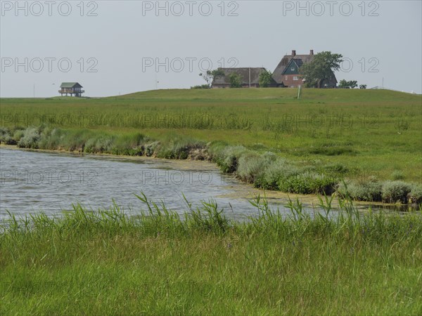 A single house stands on a small hill in the middle of a wide, green landscape near a lake, the