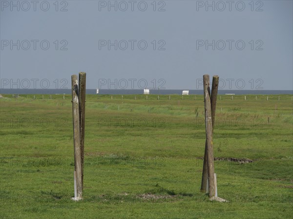 Wooden posts standing on a wide meadow with a view of the sea on the horizon, Hallig Hooge,