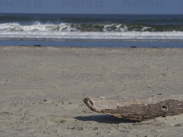 A piece of driftwood lies on sand while waves crash against the beach in the background, juist,