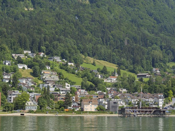 Houses on a green hill on the edge of a forest, on the shore of a lake, Lindau, Lake Constance,