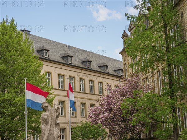 Historic building with two flags and a statue in front of a cloudy sky, Luxembourg City,