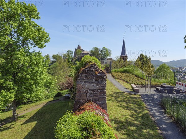 Garden with ruins and a church tower in the background, surrounded by trees on a sunny spring day,