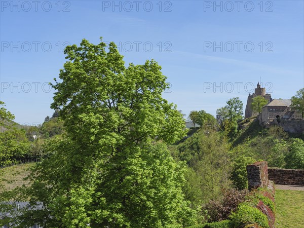 Panorama of a green landscape with a castle, historic buildings and lush trees under a clear sky,