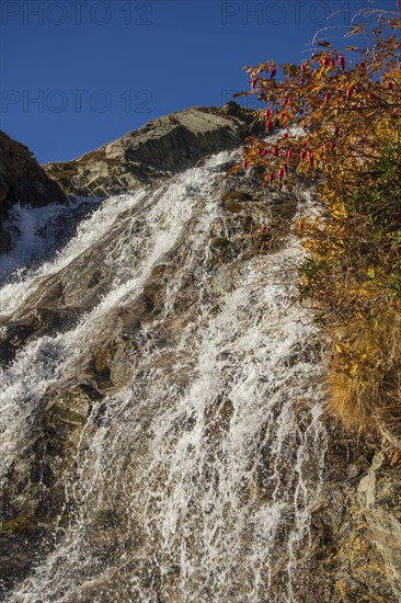 Water flows down a rocky slope, accompanied by colourful autumn leaves under a bright blue sky,