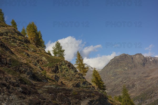 Autumnal mountain landscape with groups of trees and rocks under a blue sky with scattered clouds,