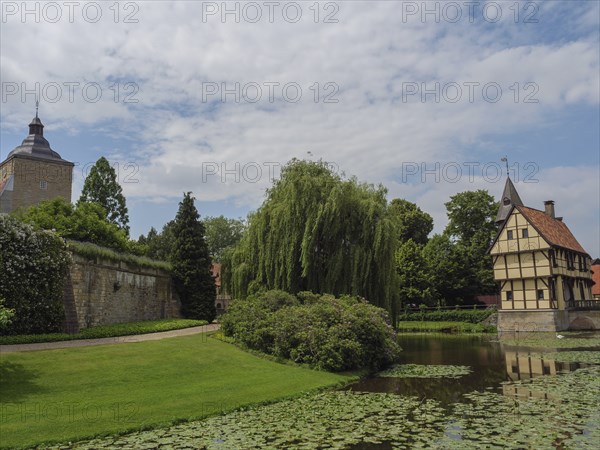 A half-timbered house and a tower by a river with water lilies, surrounded by trees and meadows,