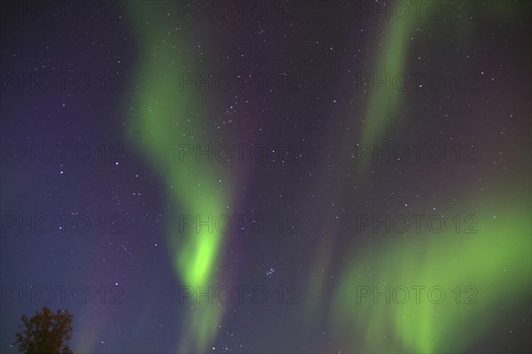 View of green and purple northern lights in the starry night sky, Langöya, Vesteralen, Nordland,