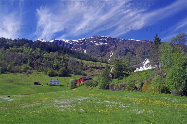 Mountain landscape with green meadows, scattered houses, blue sky and snow-covered mountains,