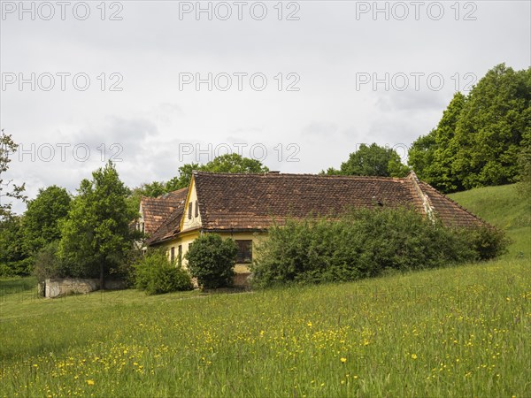Farmstead in a flower meadow, near Riegersburg, Styria, Austria, Europe