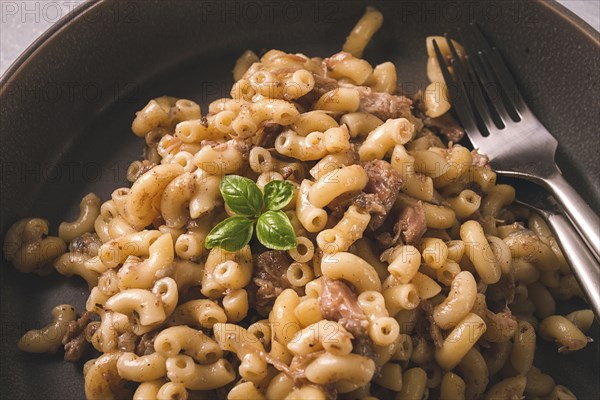 Pasta with stewed meat, pasta in the navy, horns, homemade, no people