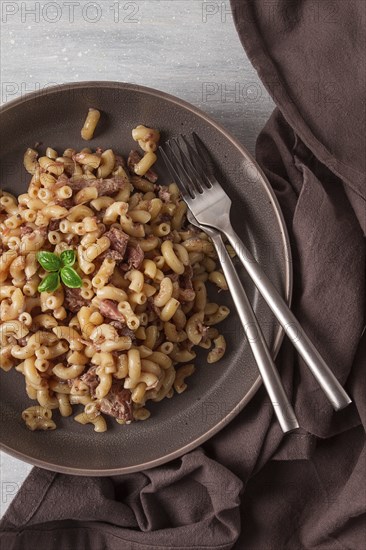 Pasta with stewed meat, pasta in the navy, horns, homemade, no people