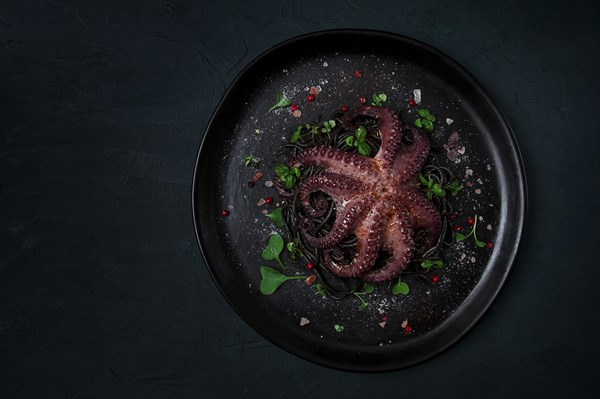 Octopus with black spaghetti, pasta, spices and herbs, top view, no people