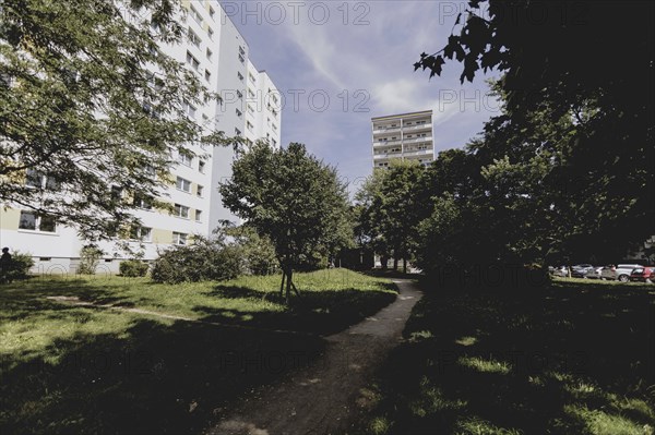 Blocks of flats in the countryside in Marzahn, photographed in Berlin, 07/08/2024
