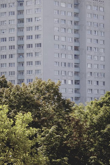 Green space in front of a block of flats, taken in Berlin, 07/08/2024
