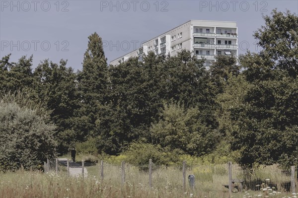 Blocks of flats in the countryside in Marzahn, photographed in Berlin, 07/08/2024