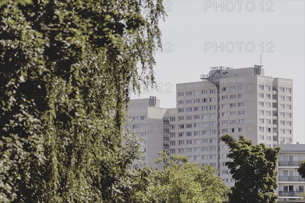 Blocks of flats in the countryside, photographed in Berlin, 07/08/2024