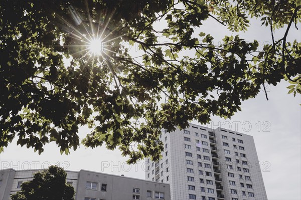 Blocks of flats in the countryside, photographed in Berlin, 07/08/2024