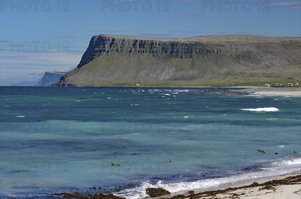 A vast sea with imposing cliffs and blue water, surrounded by a green coastline, Latrabjarg,