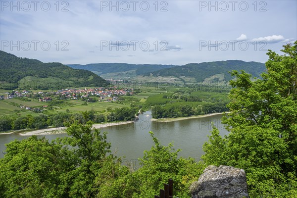 View from Dürnstein castle in spring, Dürnstein, Danubia river, Wachau, Austria, Europe