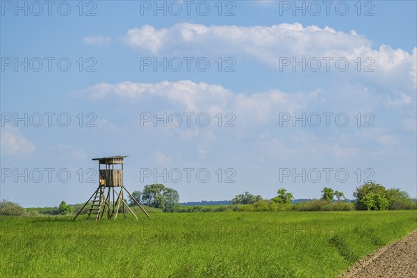 An hunting blind stands on a tall meadow, above it clouds in the sky near Pfatter, Upper