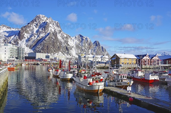 Harbour with boats and snowy mountains in the background, surrounded by a lively town and clear
